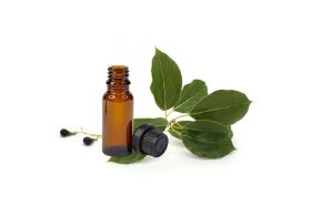 Camphor Essential Oil 15ml