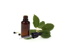 Camphor Essential Oil 30ml