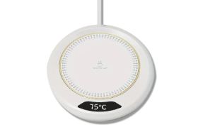Electric Lotion Warmer