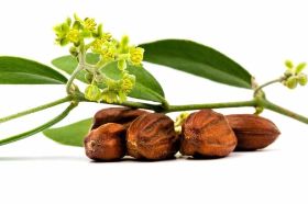 Golden Jojoba Oil 16oz