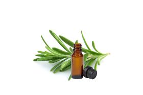 Rosemary Essential Oil 15mil