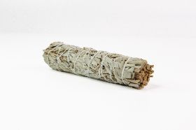 Sage Stick - 6" White