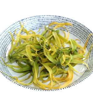 Ylang Ylang Essential Oil